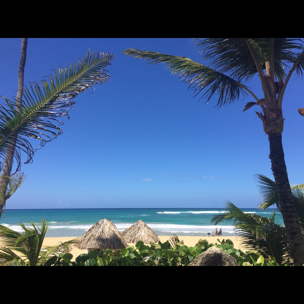 Meet your Posher, Brigette